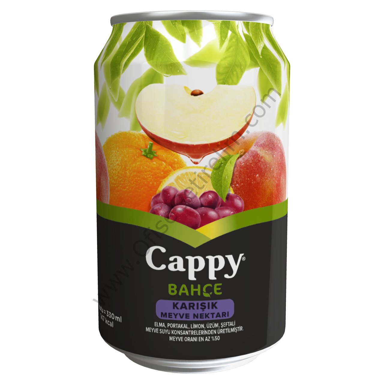 Meyve Suyu(Cappy)